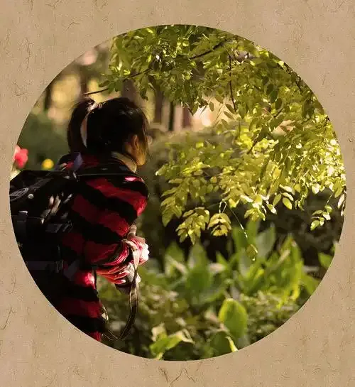 免费可看私密的热舞直播软件用户评价头像